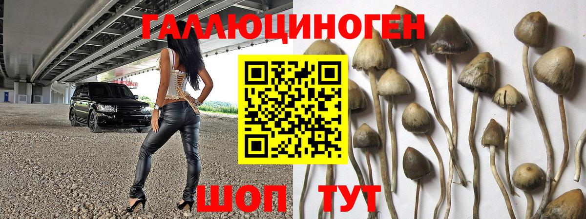 Санкт-Петербург  Галлюциногенные грибы Psilocybine cubensis  Вход с VPN  Псилоцибиновые грибы мухоморы 